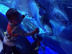 -成都浩海立方海洋公园