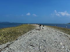 -长岛大黑山岛