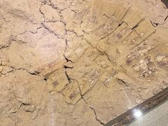 -南越王博物院(王宫展区)