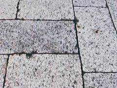 -襄阳古城