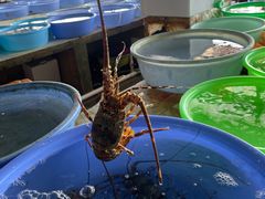 -花乐餐厅(涠洲岛店)