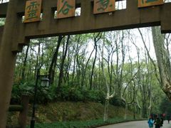 -灵谷景区