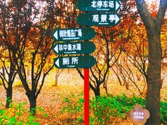 -廣味潮鲜·一品潮滋味(五道口店)