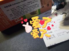 -瑞派·爱瑞可动物医院·口腔专科(广华新城分院)