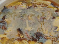 -滇铺子·云南特色菜·第九届野生菌美食节(东风东路c86店)