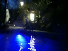 android_upload_pic-南京汤山紫清湖生态旅游温泉度假区