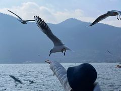 -滇池海埂公园
