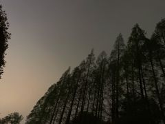 -上海虹桥迎宾馆