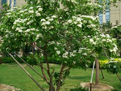 android_upload_pic-远洋未来广场(育慧北路店)