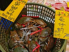 -有腥气私房菜·寻味顺德