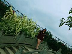 -都江堰玫瑰花溪谷