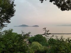 -上海市保健医疗中心