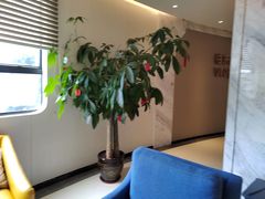 -柏乐口腔医院·舒适化无痛种植牙中心(东盟商务区院)