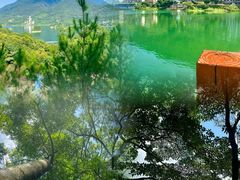 -广州市流溪河国家森林公园