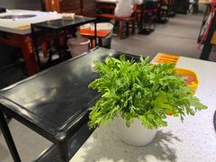 -钢管厂五区小郡肝串串香(南山店)