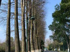 -西溪国家湿地公园