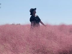 -映月湖中央公园