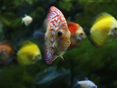 -多彩贵州城极地海洋世界