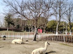 -西山漾湿地公园