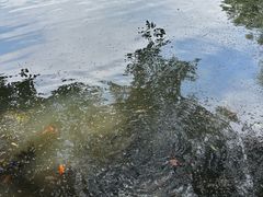 -荔湾湖公园