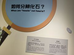 -正佳自然科学博物馆