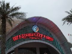 -灵玲国际马戏城