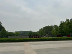 -大望京公园
