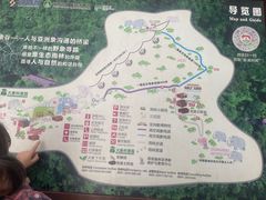 -野象谷景区