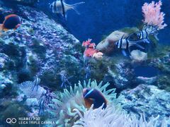 -成都浩海立方海洋公园