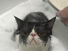 -FAELING PETS美天灵宠物(富力广场店)