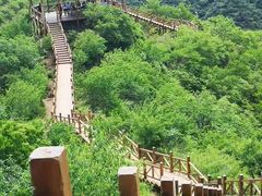 -大岭沟猕猴桃谷风景区