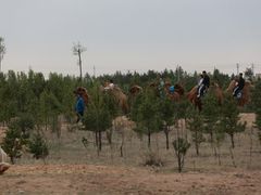 -鄂尔多斯野生动物园