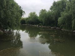 -爱玛宫·家宴
