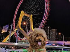 -天津之眼摩天轮