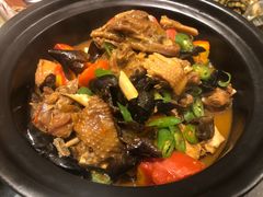 -东哥紫阳蒸盆子(旺座·现代城店)