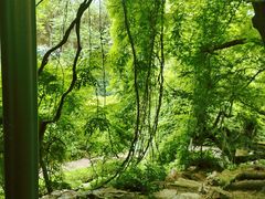 -大连植物园