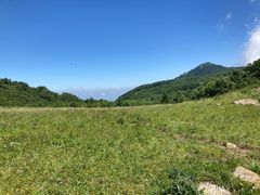 -白草畔自然风景区