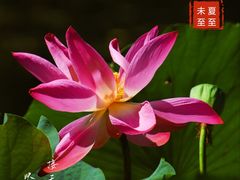 -陶然亭公园