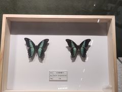 -四川宋瓷博物馆