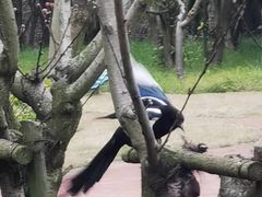 -上海市龙华烈士陵园