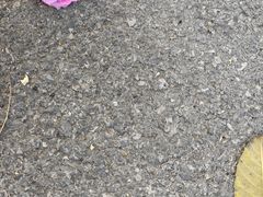 -七宝农家菜(七宝老街店)