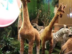 -济州岛泰迪熊博物馆