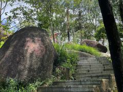 -火炉山森林公园