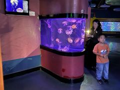 -烟台海昌鲸鲨海洋公园