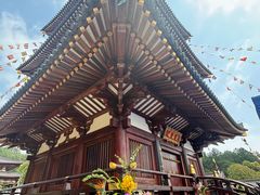 -庐山风景名胜区-东林大佛