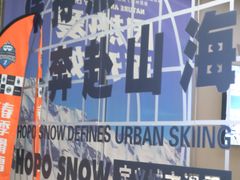 -Hopo Snow 城市滑雪空间(滨江宝龙城店)
