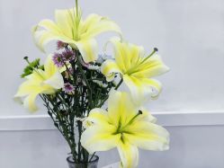 -靓芙泉专研痘痘肌