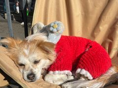 -羊羊鸡蛋仔(大学城店)