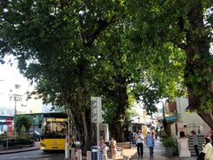 -安德鲁饼店(总店)