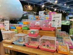 -龟与熊猫宠物公园(南坪店)